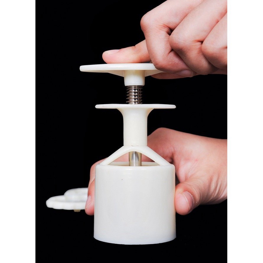 Khuôn bánh trung Thu Lò Xo 125g 4 Mặt Cá Chép