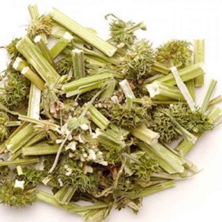 Cây ích mẫu trị tắc kinh nguyệt( 1kg /loại 1)