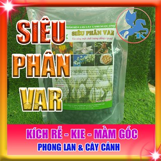 Siêu Phân Var | Chế Phẩm Ngọc Linh Cao Cấp 500g