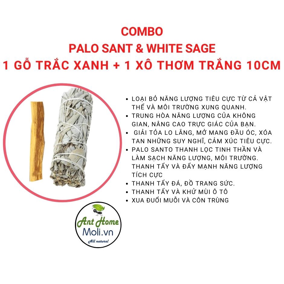 COMBO 1 bó xô thơm 10cm + 1 gỗ trắc xanh 10cm 5-6gr  Thảo mộc Xông nhà tẩy uế trừ tà, kháng khuẩn, thanh tẩy cơ thể