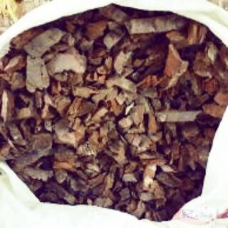 Túi 1kg vỏ thông - giá thể trồng lan