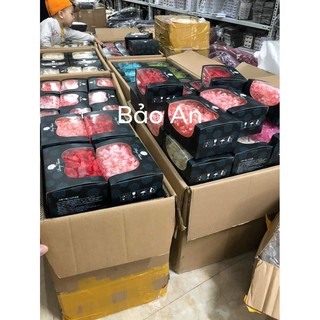 Hoa tú cầu khô ( Hộp nhựa)