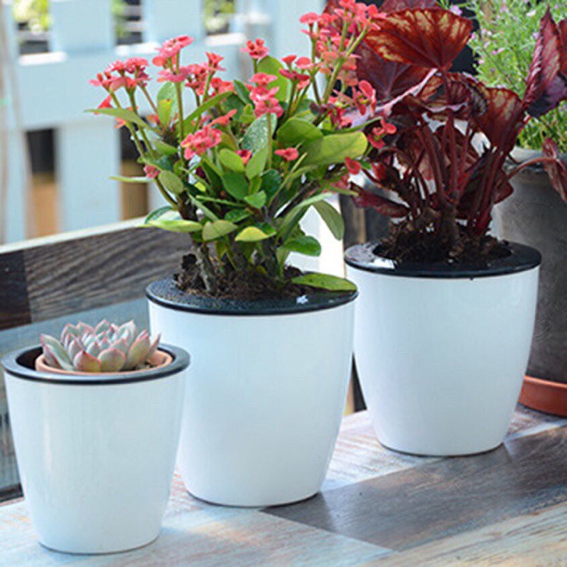 Chậu Nhựa Tự Dưỡng 2 Lớp có Sợi Tim Dẫn Nước Dưỡng Cây, Chậu Nhựa Trồng Cây Thủy Sinh