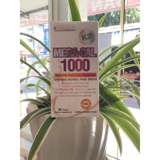 Mega-cal 1000