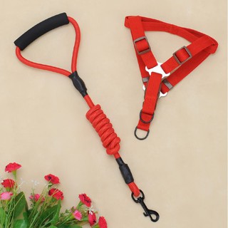DÂY DẮT CHÓ TO TỪ 10-40KG