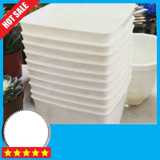Đổ buôn Chậu vuông 16cm trắng đẹp bao đẹp