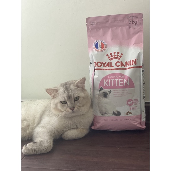 [Quận 8][Mỡ Mỡ Petshop] Thức Ăn Hạt Cho Mèo Con Kitten Royal Canin 2kg