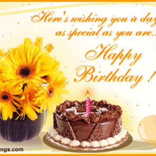 Sỉ Thiệp Happy birthday