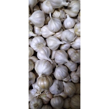500g tỏi Phan Rang - Ninh Thuận