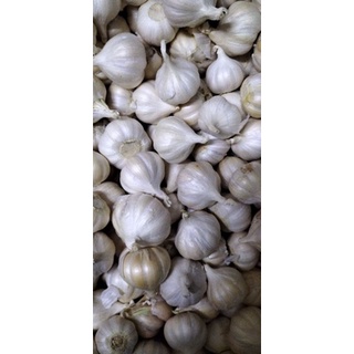 500g tỏi Phan Rang - Ninh Thuận