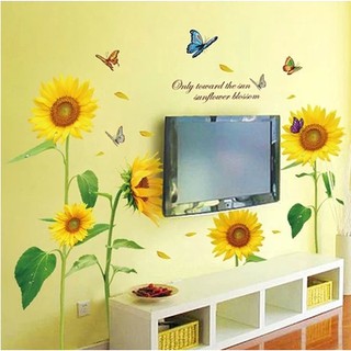 Decal dán tường hoa hướng dương
