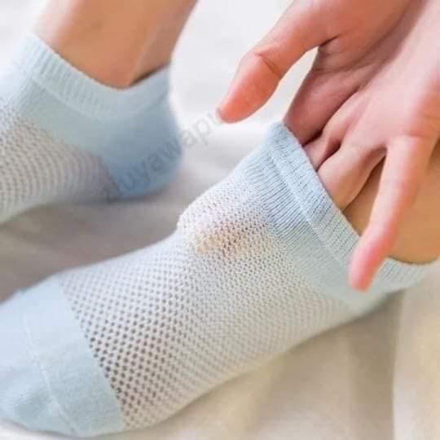 Sét 10 Đôi Tất Nữ / Vớ Nữ Lưới Thông Hơi Khử Khuẩn ,thoáng khí chống hôi chân cao cấp_TS-TV07
