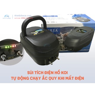 Máy sủi tích điện hãng Hailea CPA 100 dành cho hồ Koi. Sủi khí cung cấp oxy cho cá