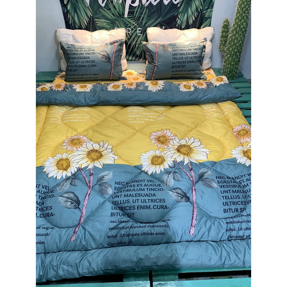 [Thanh lý hàng] Bộ Chăn Phao Ga Gối Poly Set 5 Món nhiều mẫu lựa chọn | BigBuy360 - bigbuy360.vn