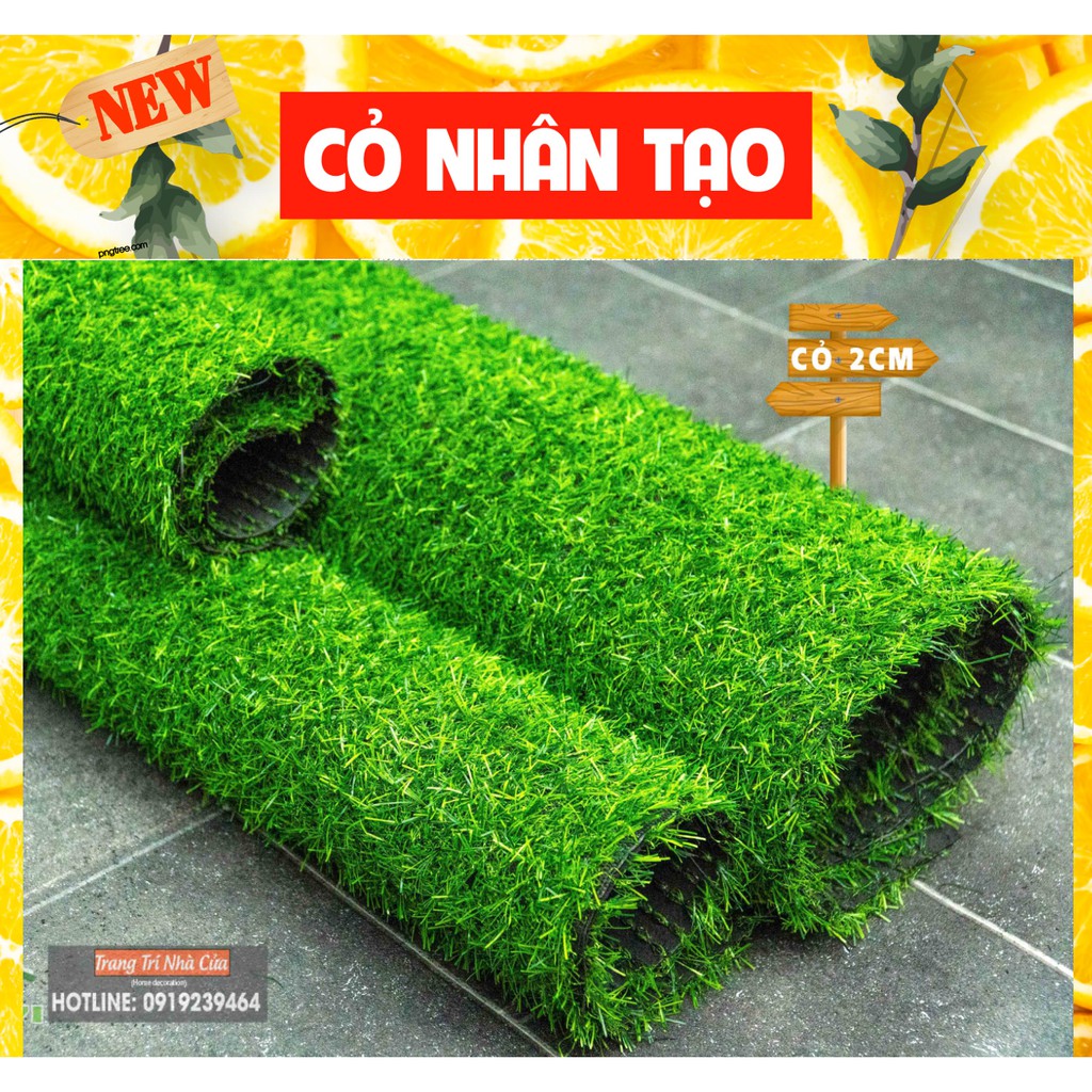 Cỏ nhựa nhân tạo, loại cỏ cao 2cm, kích thước 1m x 0,5m