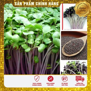 Hạt giống rau mầm cải ngọt đỏ ( 20gr )