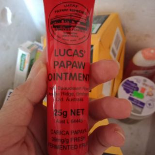 Trị côn trùng cắn
