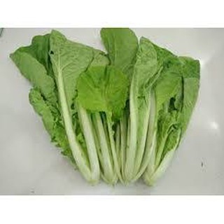Hạt giống cải bẹ Dún
