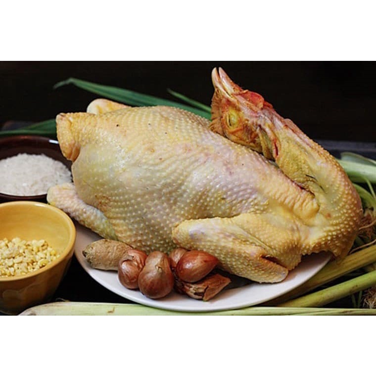 Gà ta thả vườn Bình Thuận - Bảo Danh Foods, gà vườn thịt dai ngon, trung bình 1.3kg/con