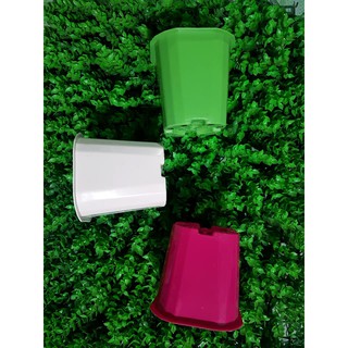 chậu nhựa 6k/cái