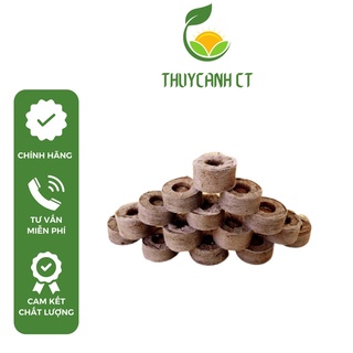 Combo 50 viên nén ươm hạt, viên nén xơ dừa loại dày cao 60mm