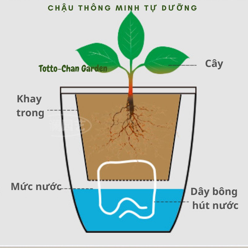 Chậu trồng cây thông minh tự tưới hình chữ nhật trồng cây để bàn tiểu cảnh sen đá độc đáo