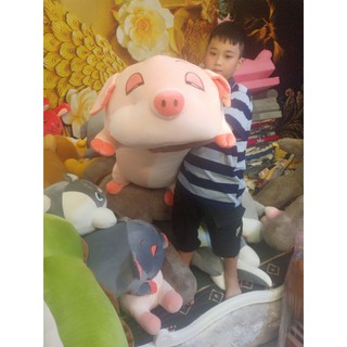 gấu heo mắt lim dim rễ thương