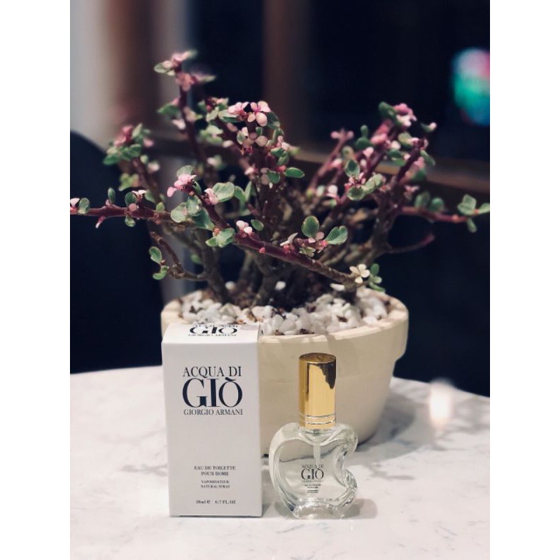 giò trắng.HOÀN TIỀN NẾU LƯU HƯƠNG KHÔNG TỐT | BigBuy360 - bigbuy360.vn