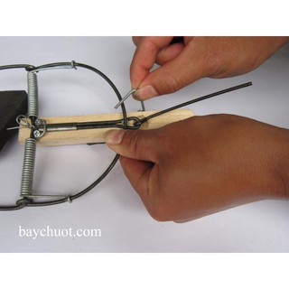 Bộ 2 bẫy chuột không cần mồi