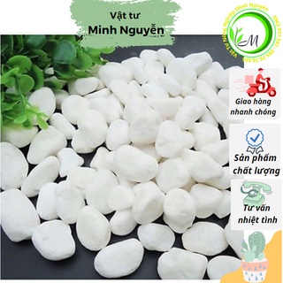 Sỏi trắng trồng cây trang trí chậu, tiểu cảnh bể cá, đá trắng rắc mặt cây để bàn, cây nội thất