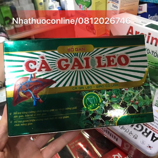 CÀ GAI LEO BỔ GAN (sản phẩm này không phải là thuốc không có tác dụng thay thế thuốc chữa bệnh)