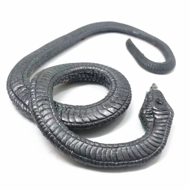 Đồ Chơi Rắn Giải Tỏa Căng Thẳng Vui Nhộn