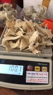 Chân yến thô set 50gr và 100gr + 🎁