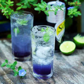 Bột hoa đậu biếc Dalahouse 50gr