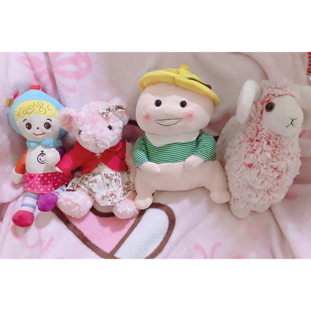 Gấu của khách hà nội