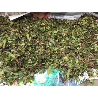 Lá tắm dân tộc Dao đỏ