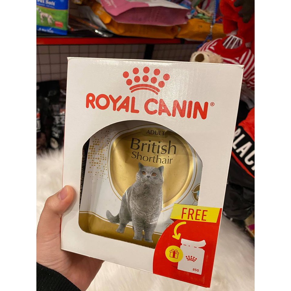 thức ăn khô canin cho mèo bầu và mèo con 4kg