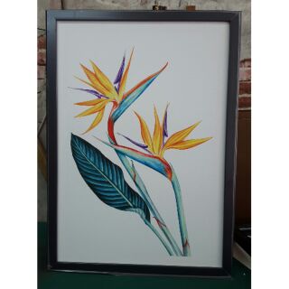 Hoa thiên điểu 40x60 hình thật kèm khung