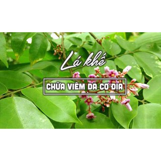 Gói hơn 500gr lá khế tươi