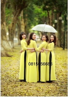 Áo dài trơn vàng cúc