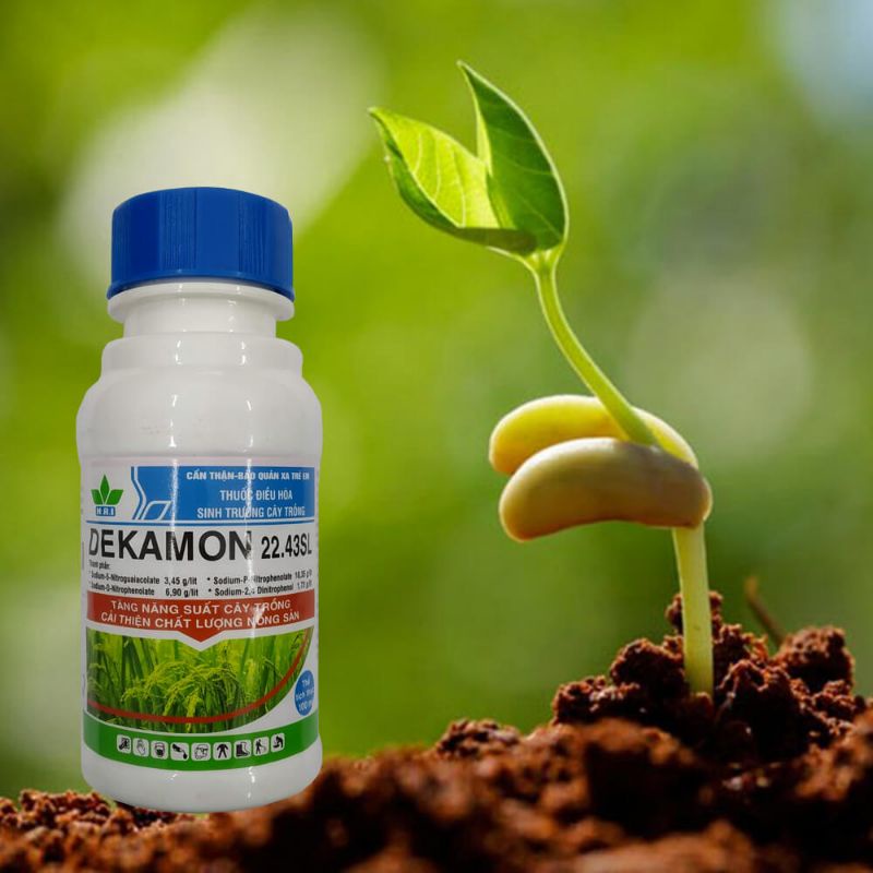 DEKAMON 22.43L Điều hòa sinh trưởng cây trồng 100ml