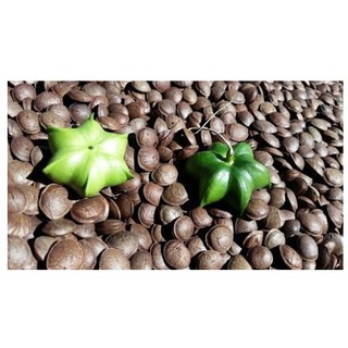 500g HẠT SACHI RANG