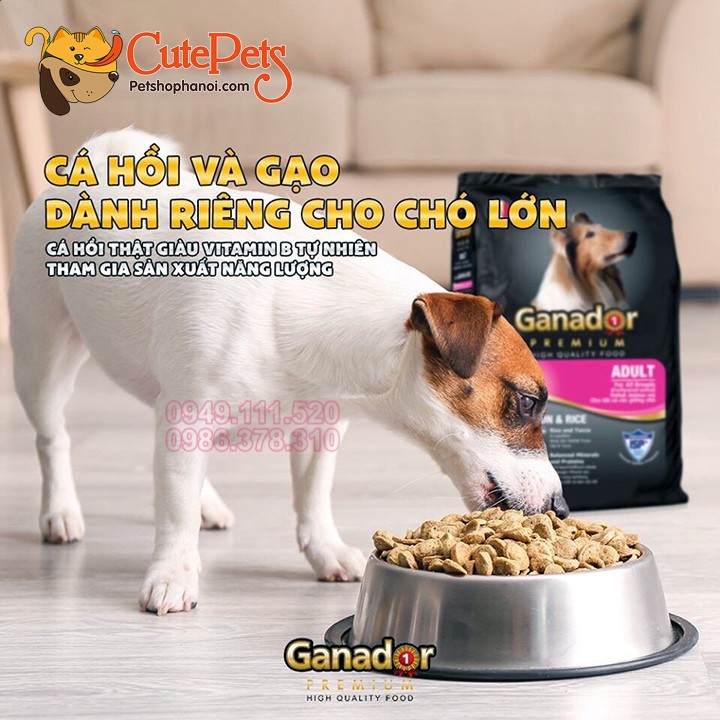 Thức ăn cho chó Ganador 3Kg Hạt cho chó giá rẻ - CutePets