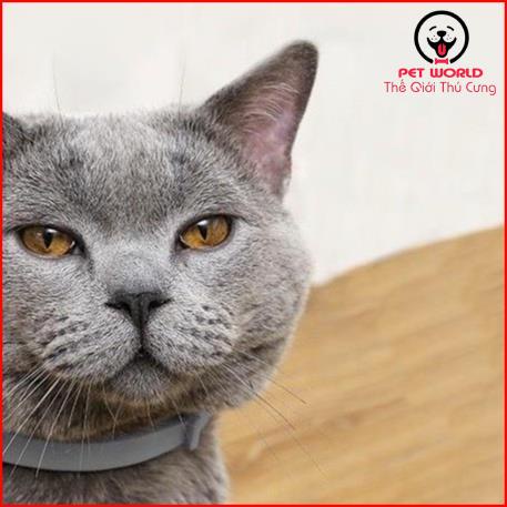 Vòng cổ chống ve rận cho chó mèo