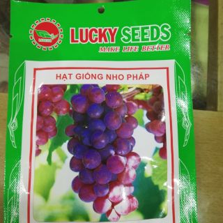 Hạt giống nho pháp leo