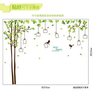 decal dán tường cây xanh khung ảnh