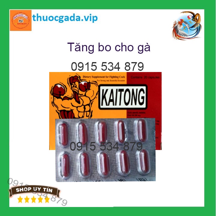 Sâm kaitong tăng bo cho gà kích lực tuần cuối