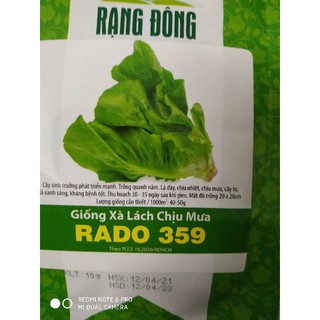 Hạt giống Xà lách chịu mưa 10gr❤️FREESHIP XTRA❤️