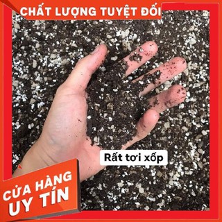 Đất trồng sen đá, xương rồng ❌ FREE SHIP ❌  siêu phẩm trồng sen đá, xương rồng