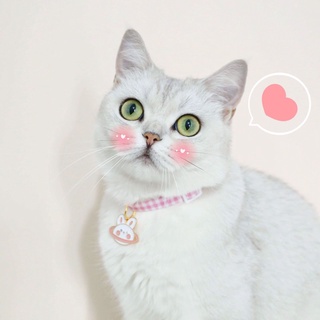 Vòng cổ cho mèo, Vòng cổ cho chó. CUTE - Chất Liệu Cao Cấp - Thoải Mái Dễ Chịu